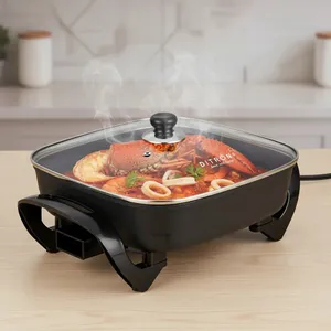 OLLA ELECTRICA 1500W